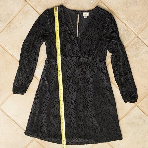 a new day Velvet Burnout Swiss Polka Dot Whimsigoth Fit and Flare Dress - Picture 6 of 9